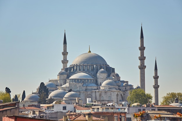 Piękny Sulejmaniye Camii Stambuł