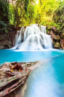 Piękny tropikalny wodospad w głębokim lesie