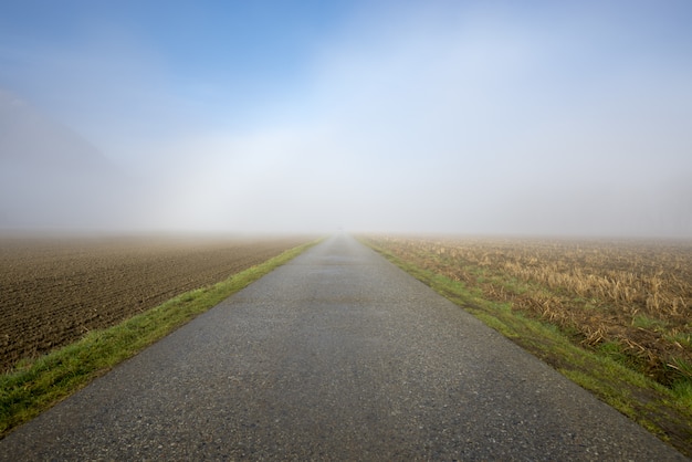 Piękny widok na betonową drogę z polem po bokach pokrytym gęstą mgłą