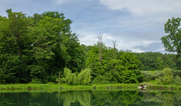 Piękny widok na bujną przyrodę i jej odbicie na wodzie w parku Maksimir w Zagrzebiu w Chorwacji