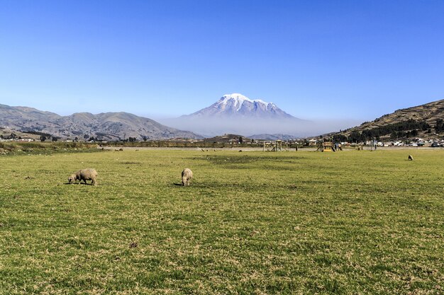 Piękny widok na górę Chimborazo w Ekwadorze w ciągu dnia