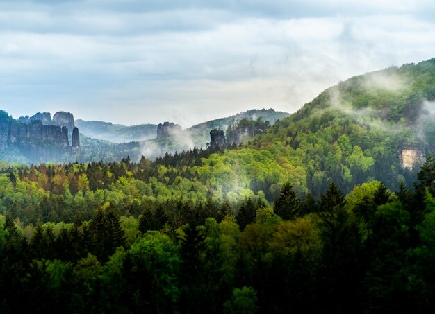 Piękny widok na krajobraz Czeskiej Szwajcarii w Czechach z drzewami