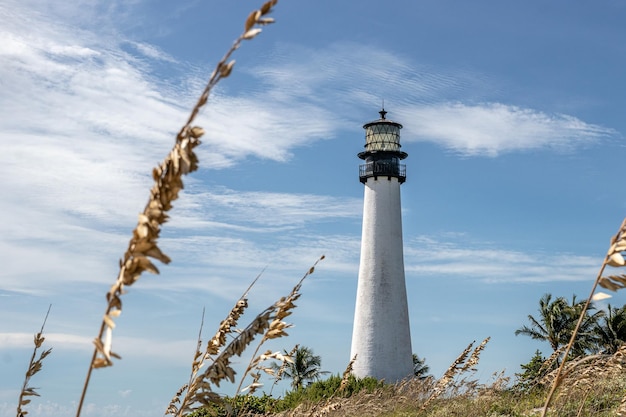 Piękny widok na latarnię morską Cape Florida na tle błękitnego, słonecznego nieba