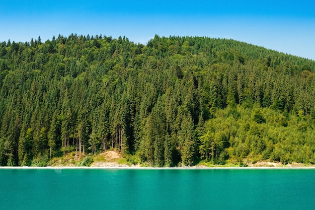 Bezpłatne zdjęcie piękny widok na łódź w jeziorze, lesie i górach