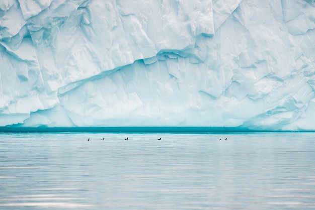 Bezpłatne zdjęcie piękny widok na masywną górę lodową w disko bay na grenlandii