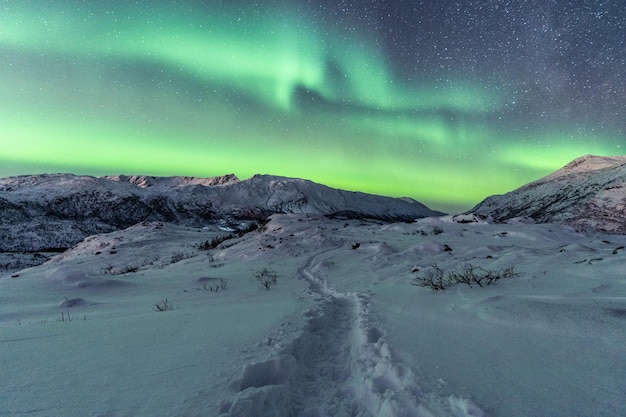 Piękny widok na nocny zimowy krajobraz z zorzą polarną, aurora borealis