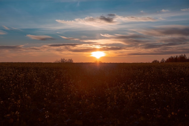 Piękny widok na poranne światło