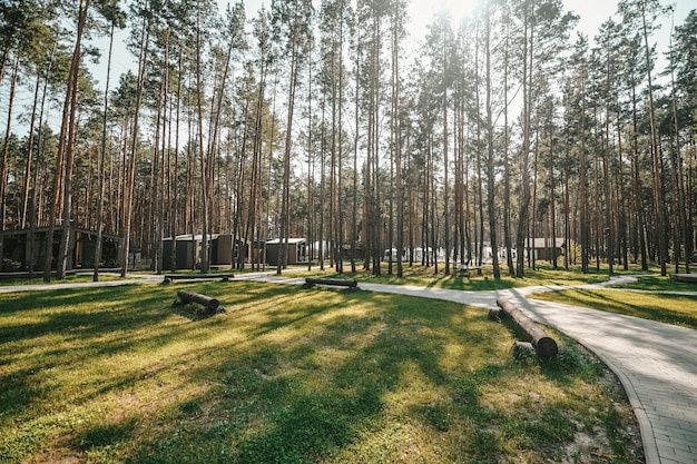 Piękny Widok Na Przyrodę W Słoneczny Dzień