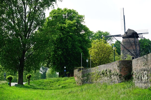 Piękny widok na stary wiatrak otoczony trawą i drzewami w parku