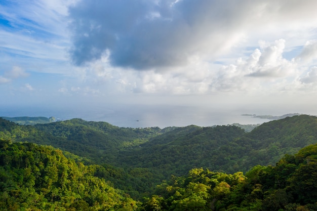 Piękny widok na tropikalny las na wyspie pod zachmurzonym niebem