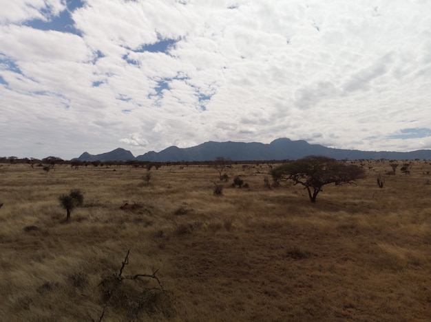 Piękny widok pola pod wspaniałymi chmurami w Tsavo zachodzie, Taita wzgórza, Kenja