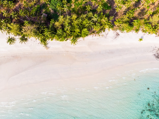 Bezpłatne zdjęcie piękny widok z lotu ptaka plaża i morze z kokosowym drzewkiem palmowym