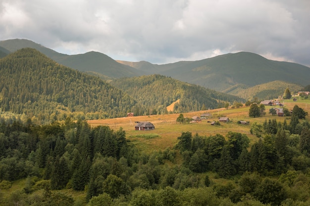 Piękny wiejski widok z drzewami