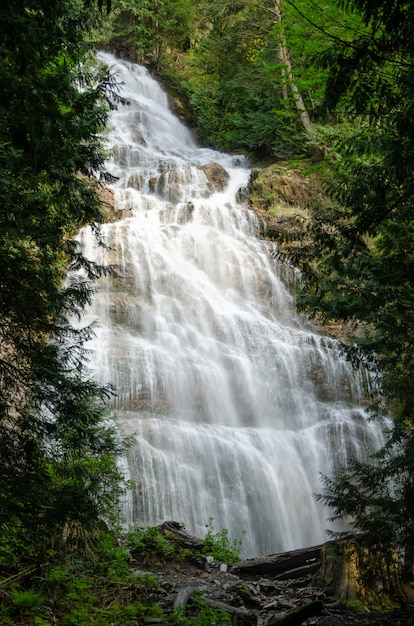 Piękny wodospad Bridal Veil w Provincial Park w Kanadzie