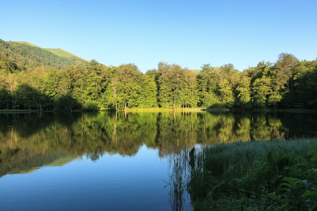 Piękny wysoki kąt strzału zielonej scenerii odbijającej się w jeziorze Gosh, Armenia