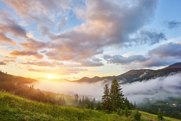 Bezpłatne zdjęcie piękny zachód słońca i las sosnowy w górach