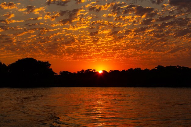 Piękny zachód słońca na największych mokradłach na północy Pantanal Dzika brazylijska przyroda i przyroda niesamowity krajobraz nad rzeką przy łodzi