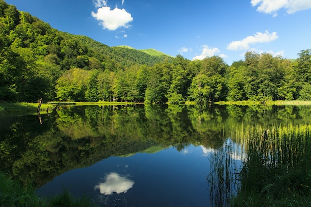 Piękny zielony krajobraz odzwierciedlający w Gosh Lake, Armenia