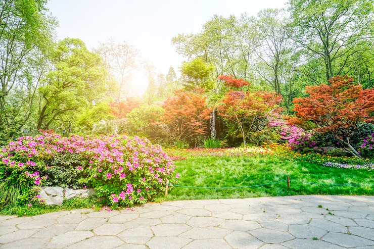 Bezpłatny plik Zdjęcie piękny zielony park.