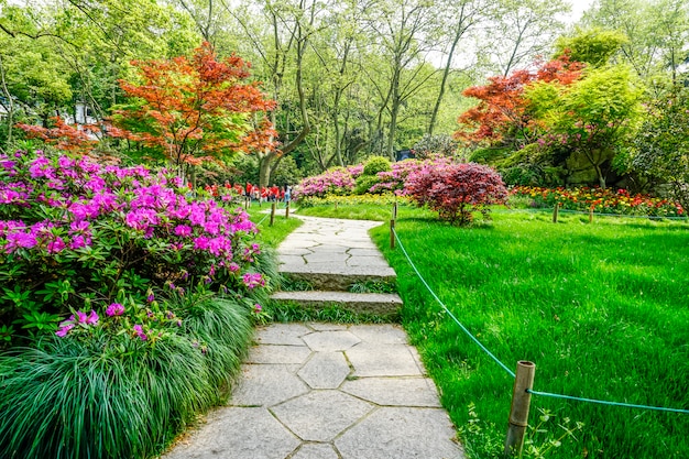 Bezpłatne zdjęcie piękny zielony park