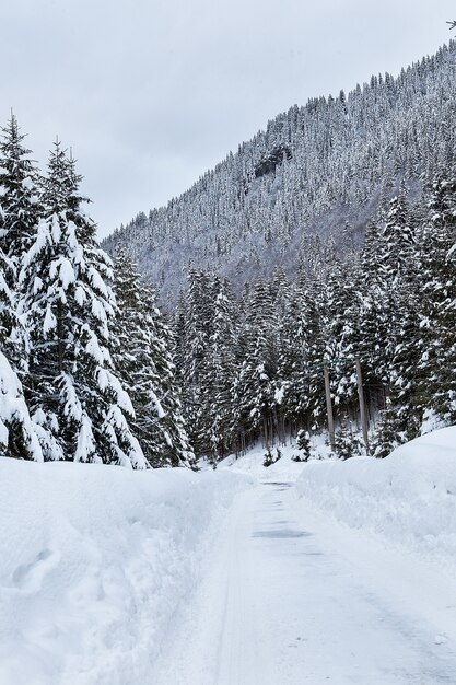 Piękny zimowy krajobraz z mieszanym śniegiem. Natura zima tło.