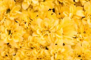 Bezpłatne zdjęcie piękny żółty kwiat