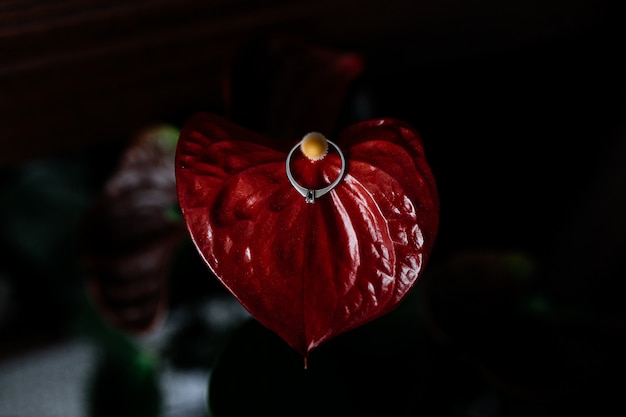 Pierścionek zaręczynowy z brylantem na kwiatku lilii calla