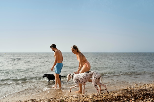 Pies bawi się na plaży