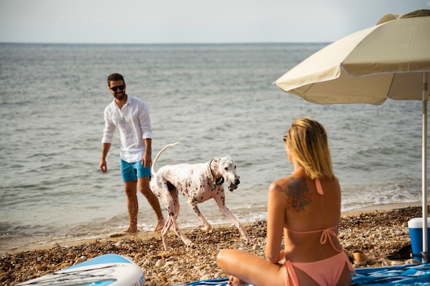 Bezpłatne zdjęcie pies bawi się na plaży