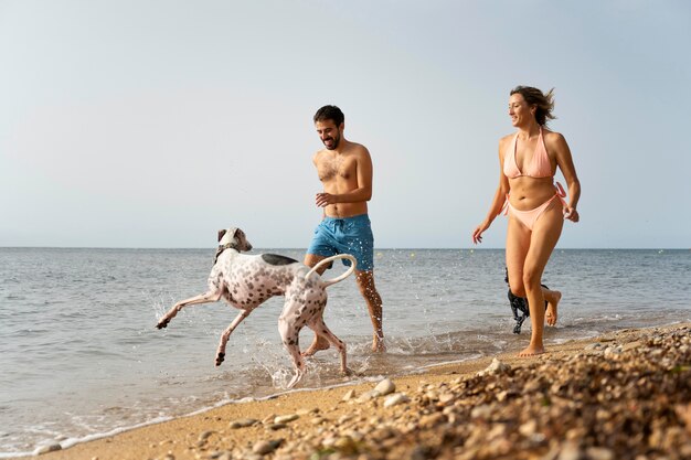 Pies bawi się na plaży