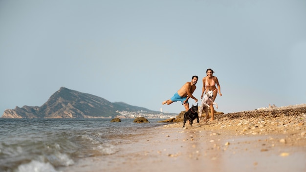 Bezpłatne zdjęcie pies bawi się na plaży