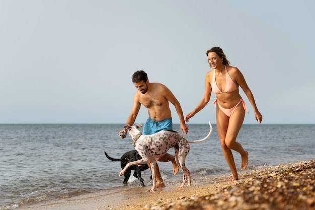 Bezpłatne zdjęcie pies bawi się na plaży