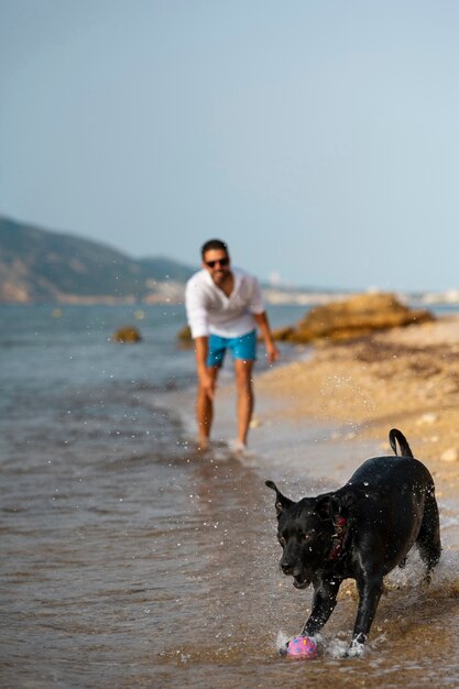 Pies bawi się na plaży