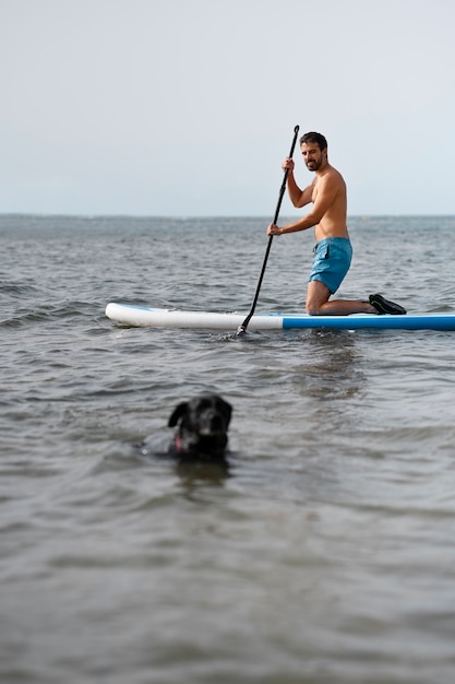 Pies bawi się na plaży