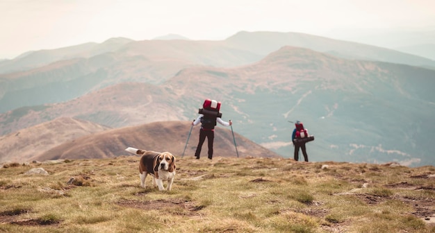 Pies podróżuje po górach ze swoimi ukochanymi właścicielami spacery ze zwierzętami
