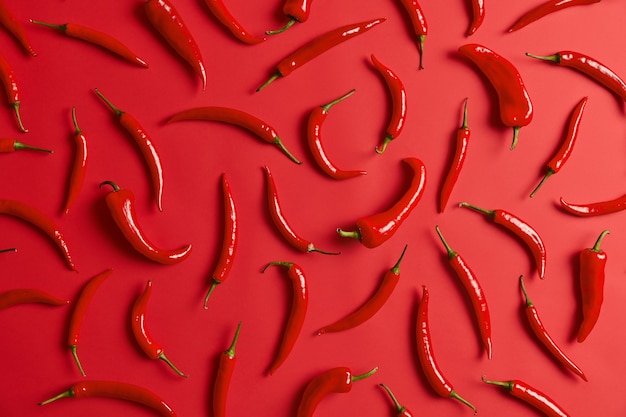 Pikantna czerwona papryka chili na jasnym tle. Koncepcja zdrowej żywności i odżywiania wegetariańskiego. Surowe świeże warzywa do przyprawiania potraw. Rolnictwo, rośliny i kuchnia. Widok z góry, ujęcie z góry