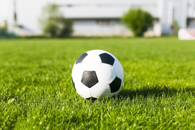 Piłka nożna w trawie