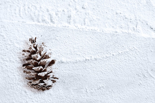 Pinecone na śniegu. Dekoracja świąteczna