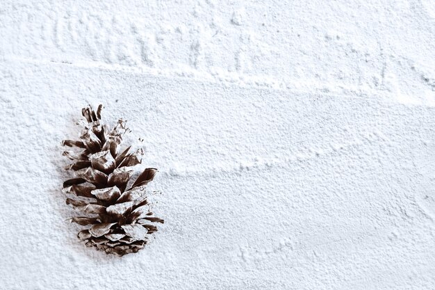 Pinecone na śniegu. Dekoracja świąteczna