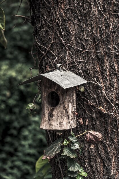 Pionowe selektywne ujęcie ostrości drewnianej ptaszarni na pniu drzewa