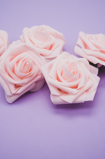 Pionowe strzał zbliżenie różowych róż na białym tle na fioletowym tle z miejsca na kopię