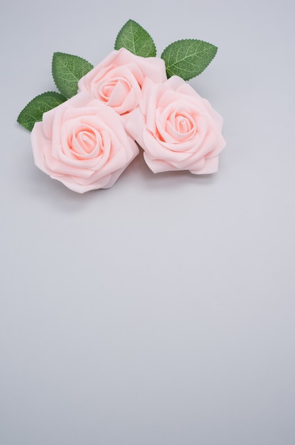 Pionowe strzał zbliżenie różowych róż na białym tle na niebieskim tle z miejsca na kopię