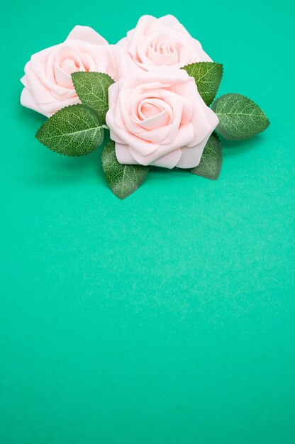 Pionowe strzał zbliżenie różowych róż odizolowane na zielonym tle z miejsca na kopię