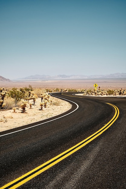 Bezpłatne zdjęcie pionowe ujęcie drogi w parku narodowym joshua tree, kalifornia, usa