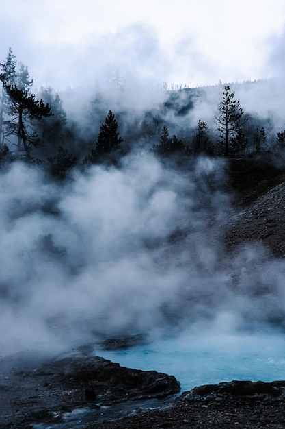 Bezpłatne zdjęcie pionowe ujęcie gejzerów w parku narodowym yellowstone w stanach zjednoczonych