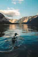 Bezpłatne zdjęcie pionowe ujęcie kaczki krzyżówki pływającej w jeziorze w hallstatt w austrii