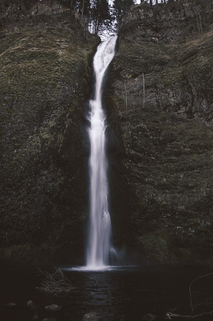 Bezpłatne zdjęcie pionowe ujęcie małego wodospadu w centrum omszałych skał
