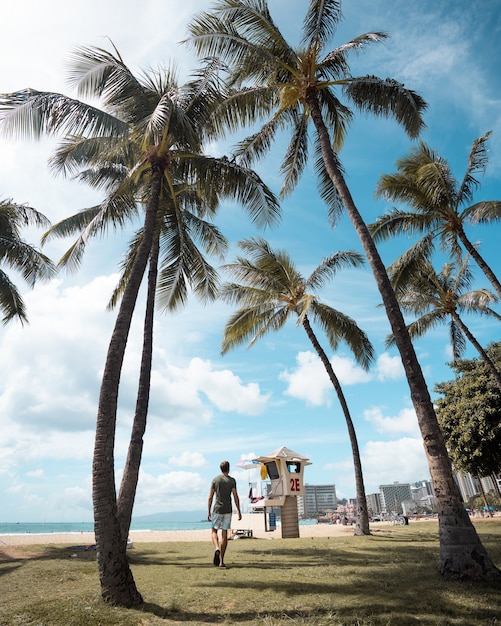 Pionowe ujęcie mężczyzny idącego na plaży pokrytej palmami, ciesząc się słonecznym dniem