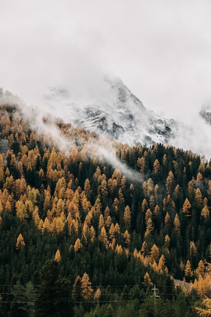 Pionowe ujęcie nisko latających ciężkich chmur pokrywających gęsto zalesione zbocze góry jesienią