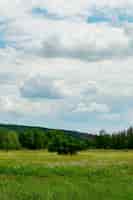 Bezpłatne zdjęcie pionowe ujęcie pięknej zielonej dolinie pod pochmurnym niebem